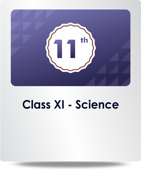 Class XI Science